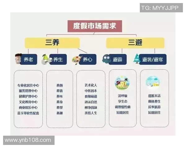 深入探讨VS201520162017三款开发工具的特点与适用场景分析