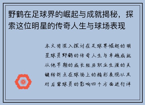 野鹤在足球界的崛起与成就揭秘，探索这位明星的传奇人生与球场表现